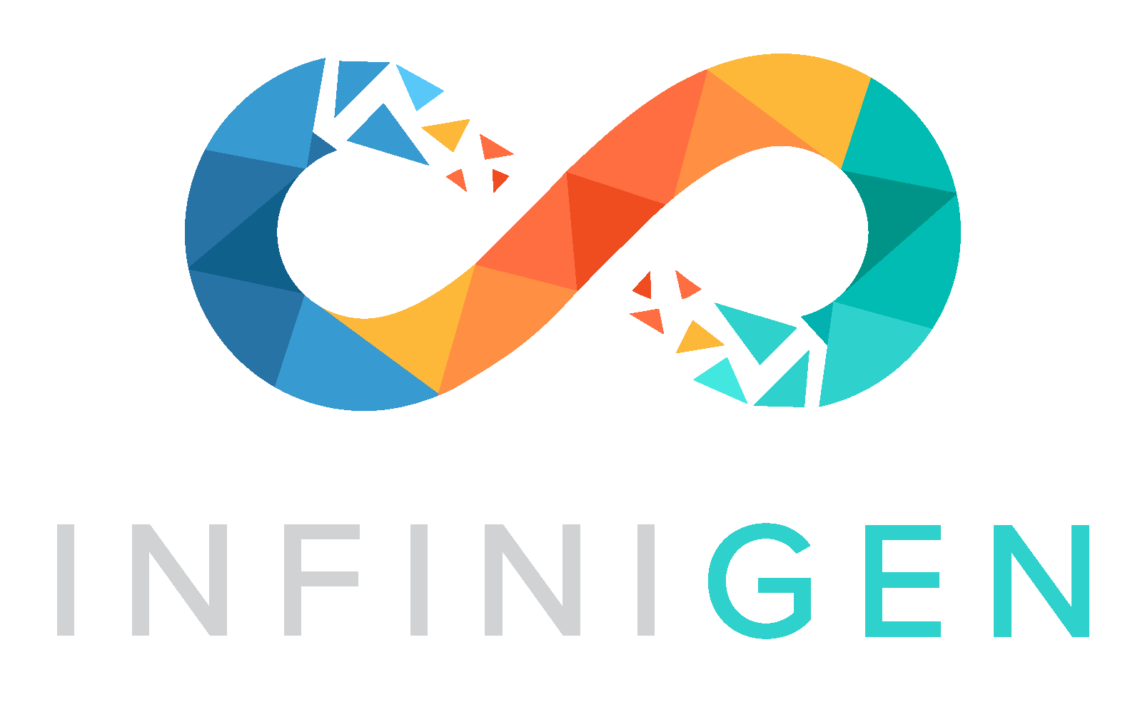 Infinigen Overview